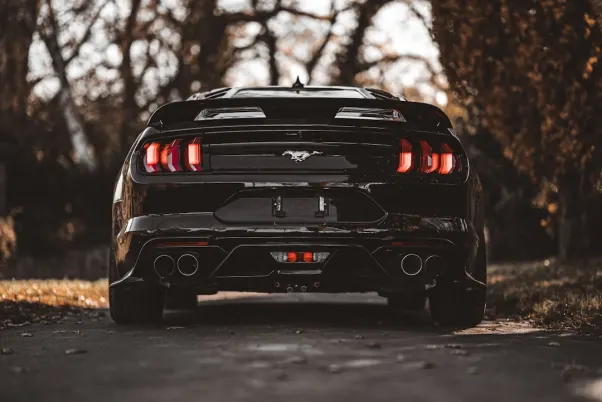 Winning Kasyno Aplikacja Android/iOS